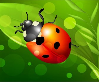 Latar Belakang Serangga Ladybug Ikon Dekorasi Warna-warni