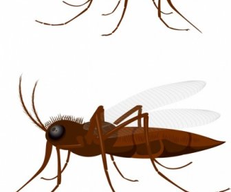 Fondo Insectos Mosquito Icono Marrón Diseño En 3d