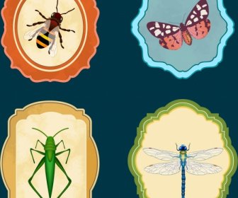 Insect Icons Collection Bee Butterfly Grasshoper Dragonfly Icons