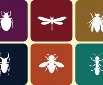 Insect Icons Collection White Flat Symbols Isolation
