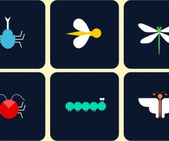 Insect Icons Isolation Colored Flat Design