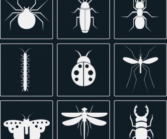 Insect Icons Sets White Silhouettes Design Various Types