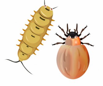 昆虫图标蠕虫甲虫素描彩色特写镜头设计