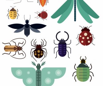 Insect Species Icons Colorful Flat Design