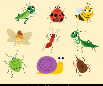Insect Species Icons Cute Carton Characters Handdrawn Sketch
