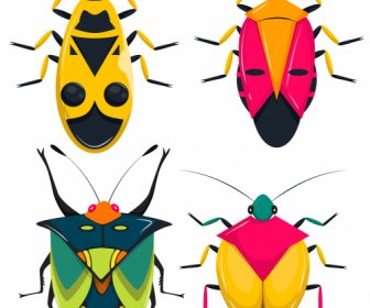 Insecta Bugs Species Icons Colorful Flat Sketch