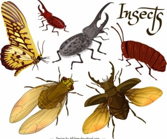 Insectos Fondo Bichos Mariposa Volar Los Iconos 3d Decoración