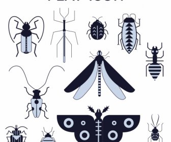 Insectes Créatures Icônes Noir Blanc Plat Conception