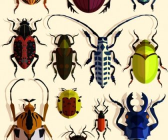 Serangga Desain Elemen Bug Spesies Ikon Desain Warna-warni