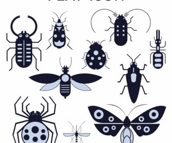 Insects Species Icons Black White Flat Sketch