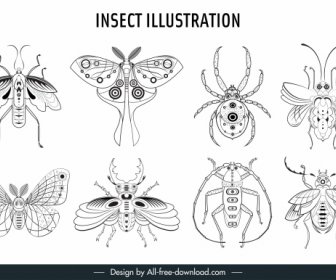 Insects Species Icons Black White Handdrawn Sketch
