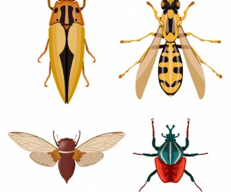 昆虫物种图标蟑螂蚂蚁甲虫蜜蜂素描