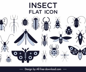 Insects Species Icons Collection Black White Flat Sketch