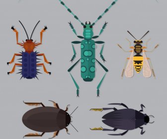 Insects Species Icons Colored Flat Sketch