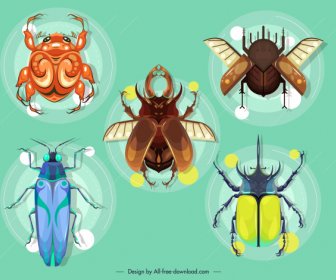 Insectes, Espèces, Icônes, Coloré, Design Moderne