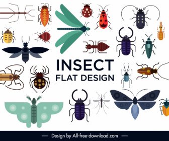 Insects Species Icons Colorful Flat Sketch