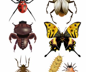 Insekten-Arten-Ikonen Glänzend Gefärbt Modernes Design