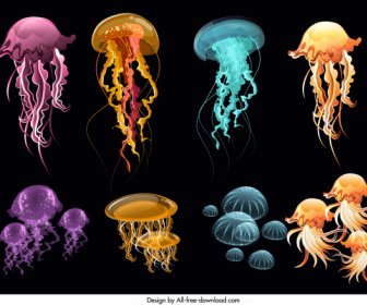 Jellyfish Icons Colorful Modern Design
