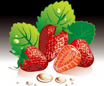 Juicy Fresh Strawberries Set Vector