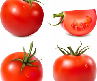 Vecteur Graphique De Tomate Fraîche Juteuse 3