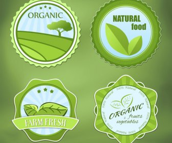 Etiquetas Verde Vector Natural