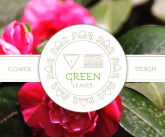 Labels With Flower Blurs Background Vector