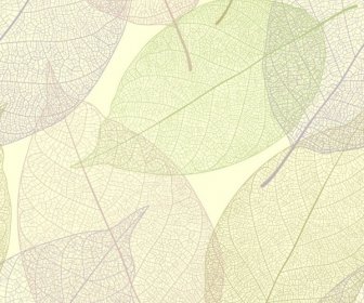 Leaf Background Transparent Design Flat Colored Sketch