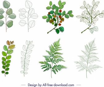 Leaf Branch Icons Colored Modern Sketch