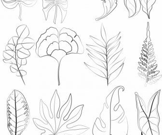Leaf Icons Black White Handdrawn Sketch
