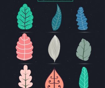 Leaf Icons Collection Colored Shapes Sketch Isolation