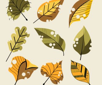 Leaf Icons Colored Classic Handdrawn Sketch
