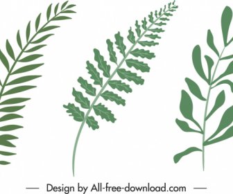 ícones De Folha Verde Plano Desenhado à Mão Design