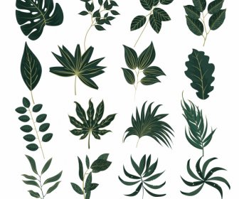 Leaf Icons Green Shapes Sketch