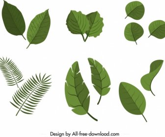 ícones Da Folha Define Decoração Verde 3d Design Plano