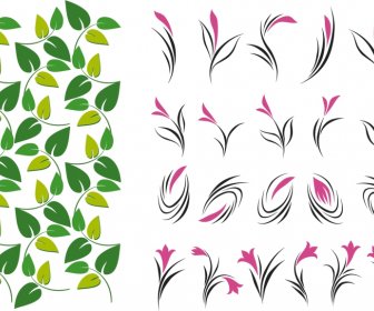 Leaves And Flowers Collection Vector Illustration