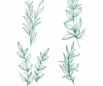 Plantas De Hojas Iconos Verde Clásico Dibujado A Mano Boceto