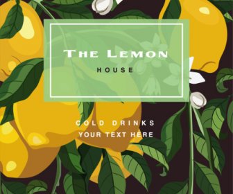 檸檬背景新鮮成熟綻放素描五顏六色經典