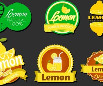 Lemon Logotypes Various Colored Shapes Isolation