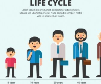 Life-Cycle Banner Männer Symbol Sequenz Design Wächst