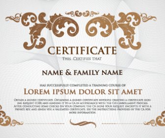 Light Color Certificate And Diploma Creative Template Vector