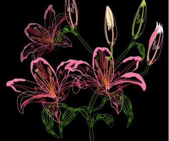 Lily Flora Painting Dark Classical Handdrawn Sketch
