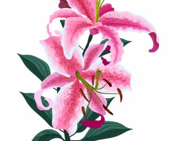 Lukisan Bunga Lily Sketsa Klasik Berwarna-warni