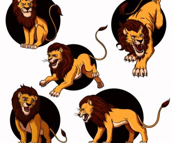 Lion Icons Colored Cartoon Sketch