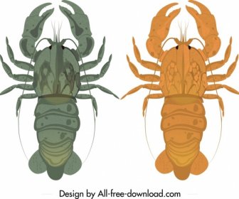 Lobster Icons Dark Orange Blue Design