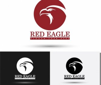 Logos Templates Sketch Eagle Icon Silhouette Style