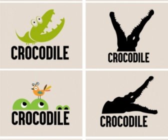 Collezione Di Icone Vari Logotipi Coccodrillo Verde Nero Design