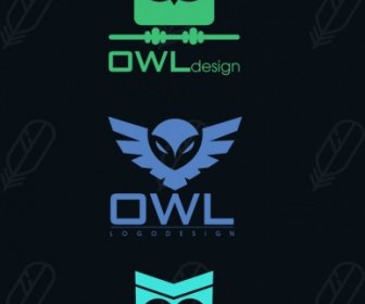 Logotypes Collection Owl Icons Various Flat Design
