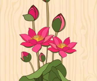 Lotus Background Colored Handdrawn Sketch