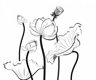 Fundo Floral De Lótus Plano Desenhado à Mão Para Trás Contorno Branco