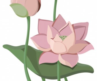 Lotus Flower Painting Colored Classical Design